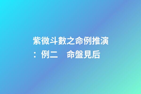 紫微斗數之命例推演：例二　命盤見后